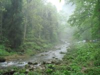 ���Ϫ�L(f��ng)��