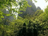 ���Ϫ�L(f��ng)��