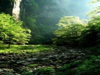 ���Ϫ�L��