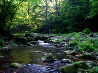 ���Ϫ�L(f��ng)��